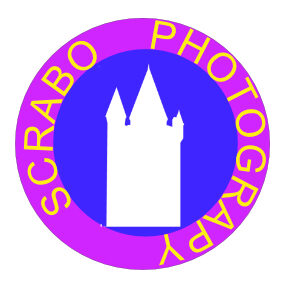 Scrabo Photography