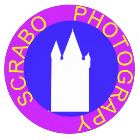    Scrabo Photography