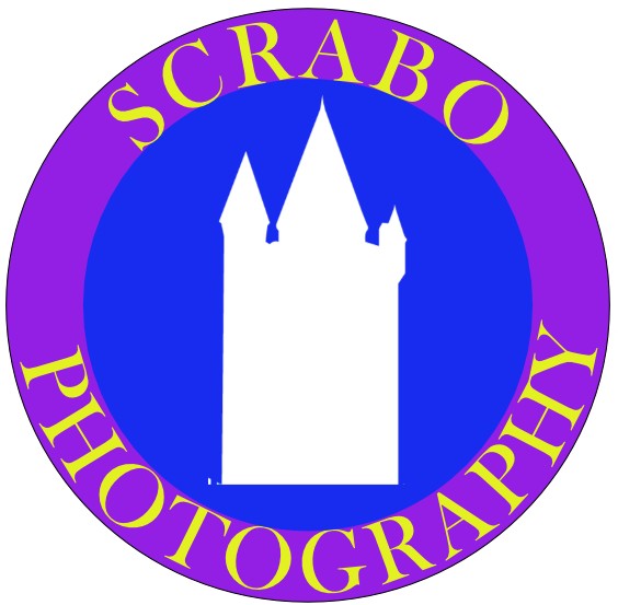 Scrabo Photography